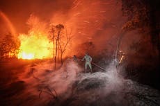El “súper El Niño” podría causar 870.000 muertes en todo el mundo, advierten