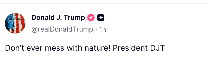 El presidente Trump fue objeto de críticas duras en Internet por compartir un video generado por IA en el que aparece luchando contra un tigre que mató a un hombre en el Reino Unido (video omitido)
