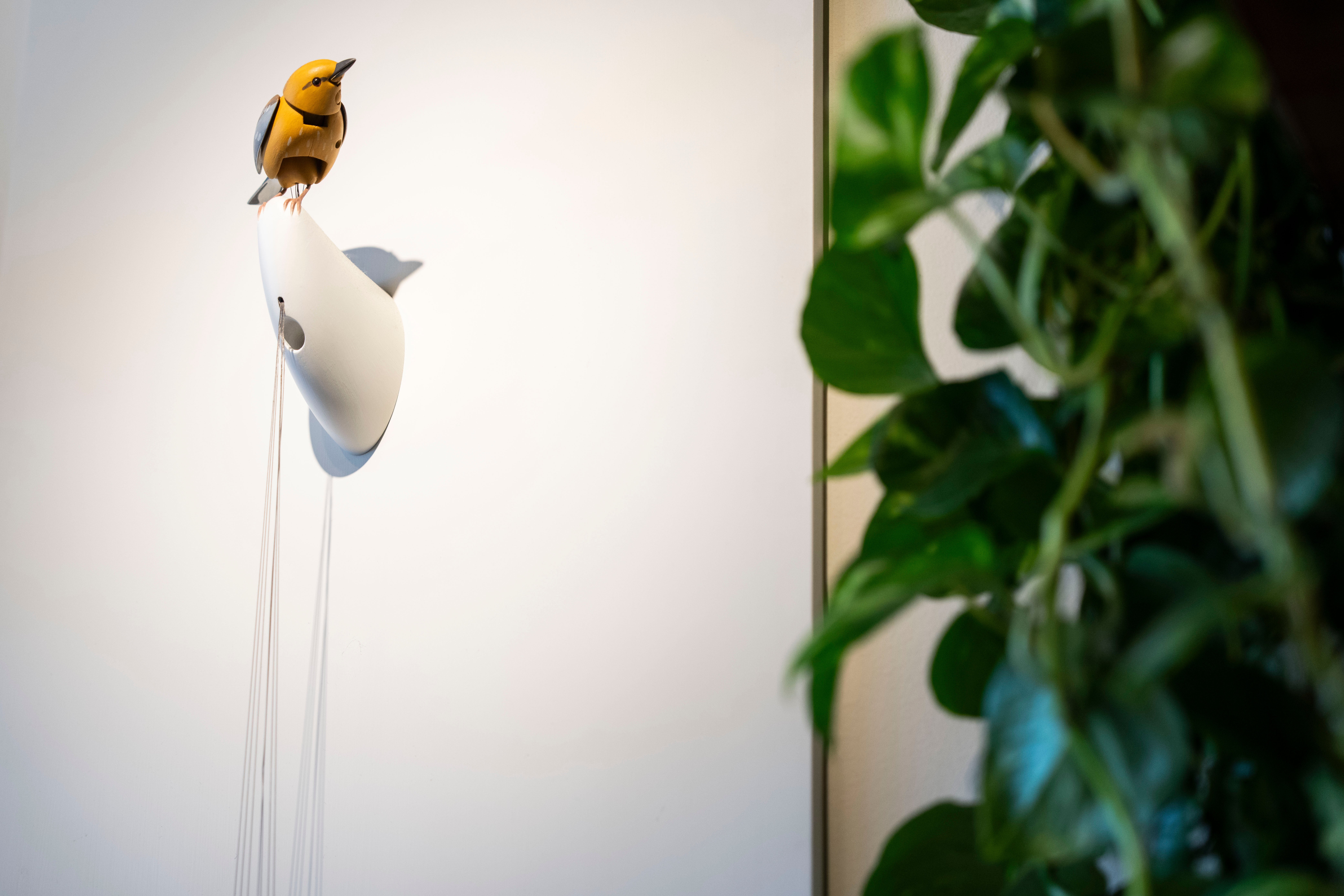 Molly, un pájaro mecánico que canta y baila, creado por el artista Bliss Kolb, se ha visto envuelto en la polémica de Internet