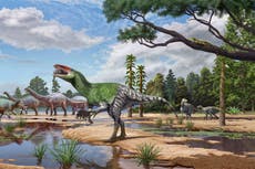 Identifican fósil olvidado en museo por un siglo como un nuevo pariente del ‘T-rex’