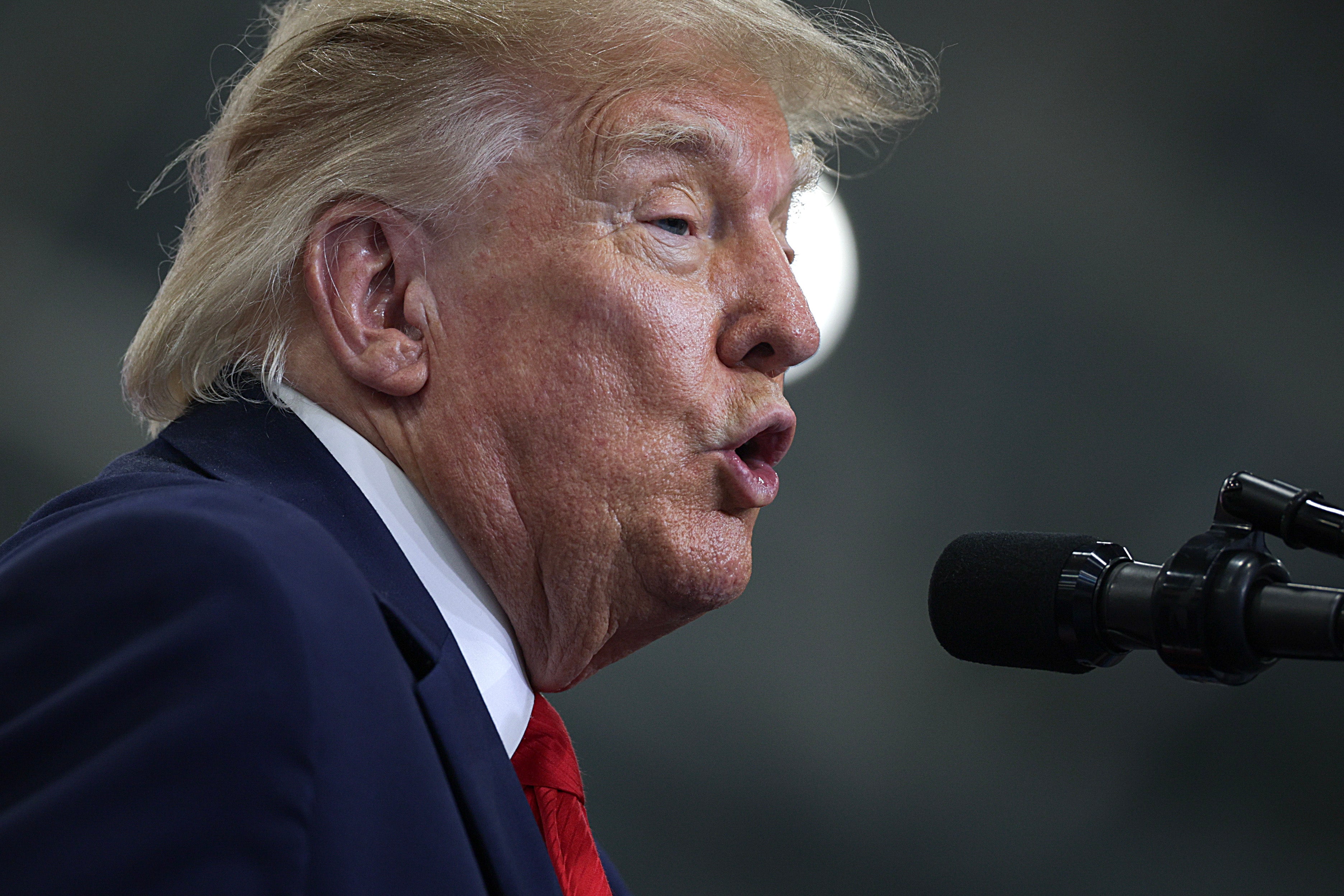 Critican a Trump por un video de IA en el que aparece luchando contra un tigre