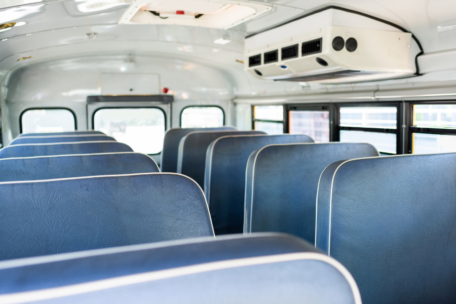 PETA se ha sumado a las peticiones de la comunidad para que se readmita a una conductora de autobús de Maryland despedida por permitir que un niño de 10 años rescatara a un gatito herido