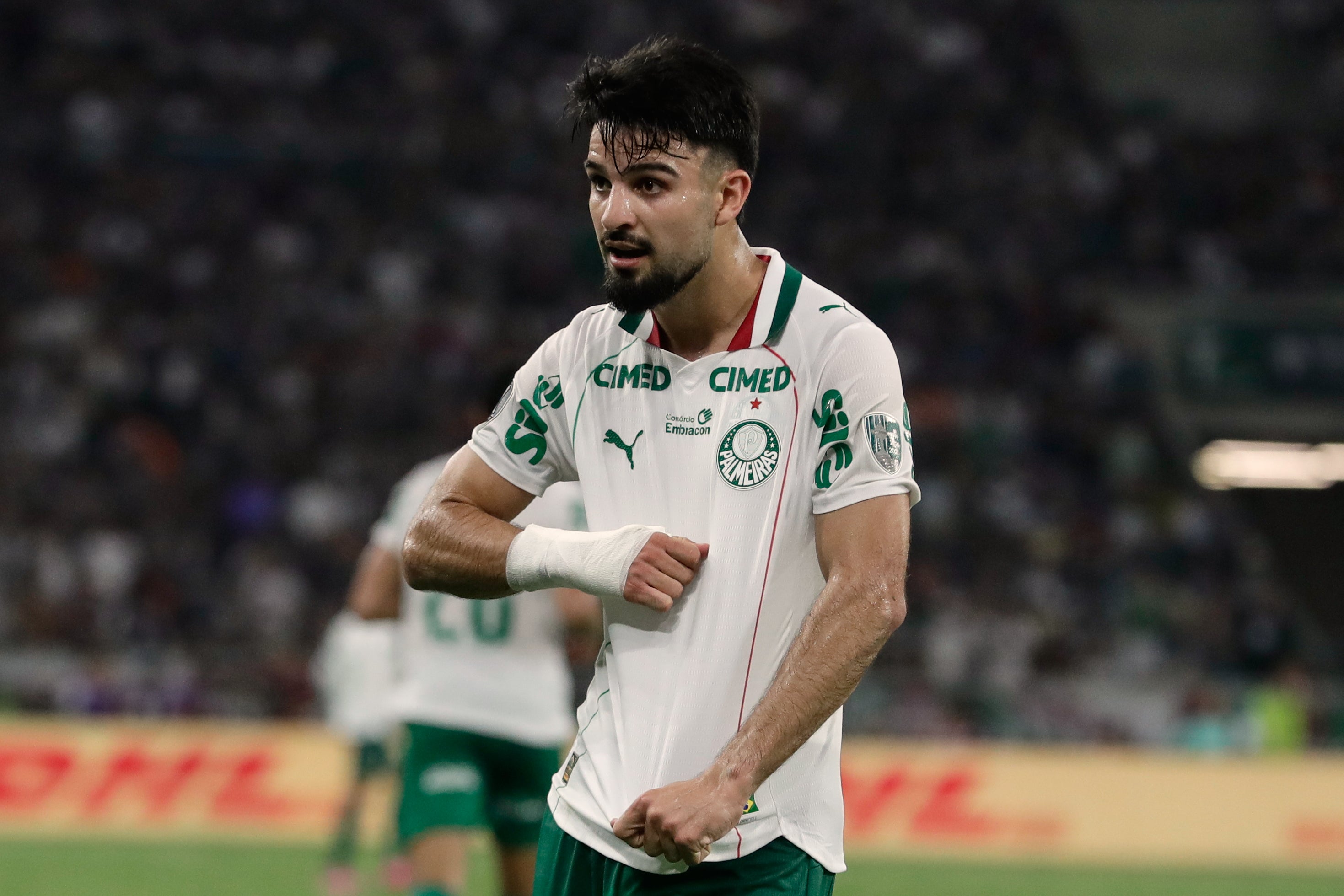 LIBERTADORES-RESUMEN