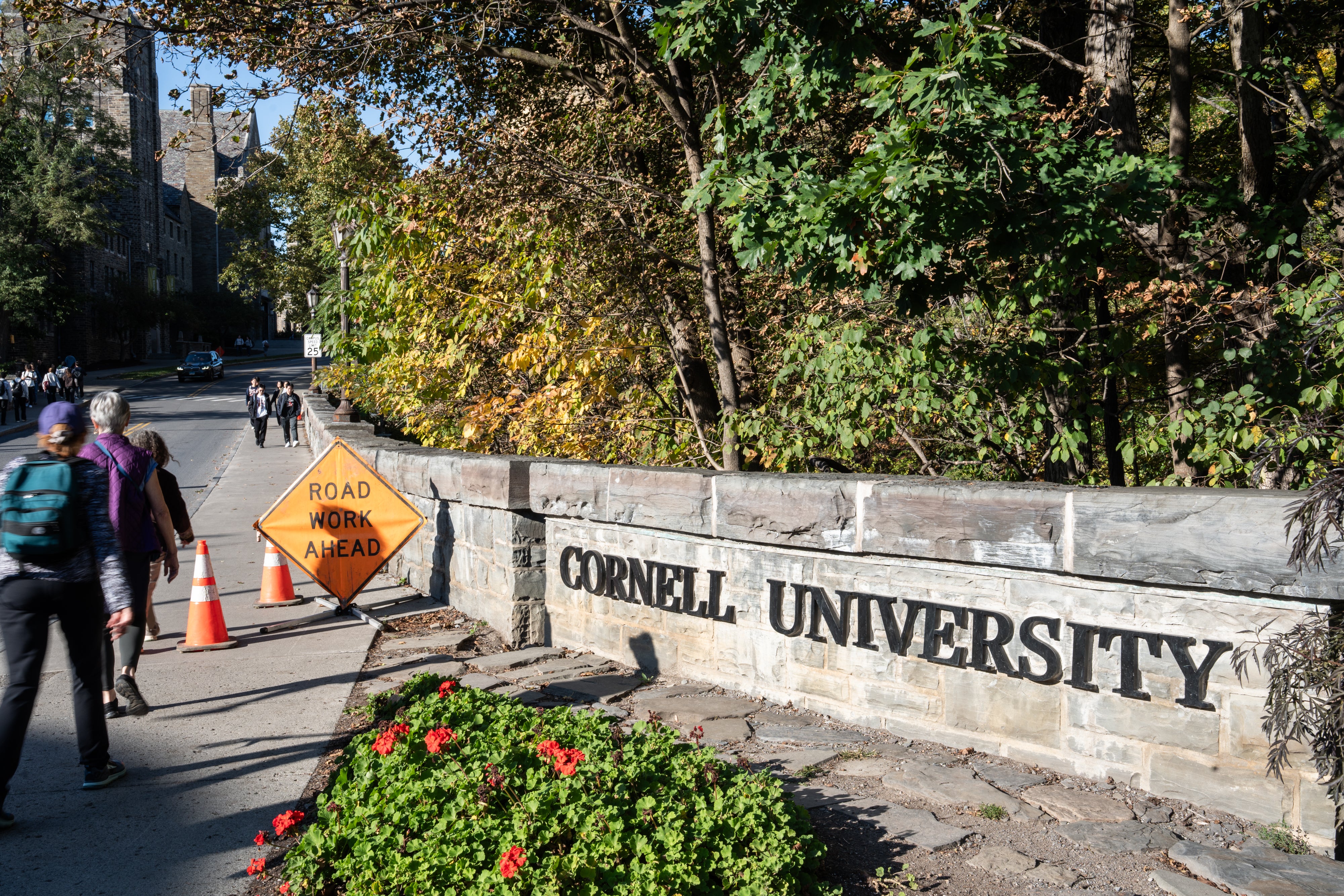 AMN-GEN CORNELL-UNIVERSIDAD-INVESTIGACIÓN