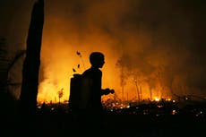 Incendios en Amazonía alteran la vida diaria de sus habitantes y avivan los ataques políticos