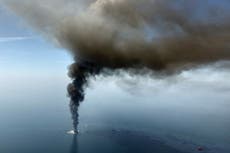 La vida marina en el golfo de México descendió drásticamente tras el derrame de BP, dice estudio