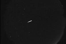 ¿Cómo y cuándo ver la lluvia de meteoros de los Oriónidas?