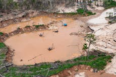 Oficina de la CIDH pide supervisar la tecnología usada en los delitos ambientales en Latinoamérica