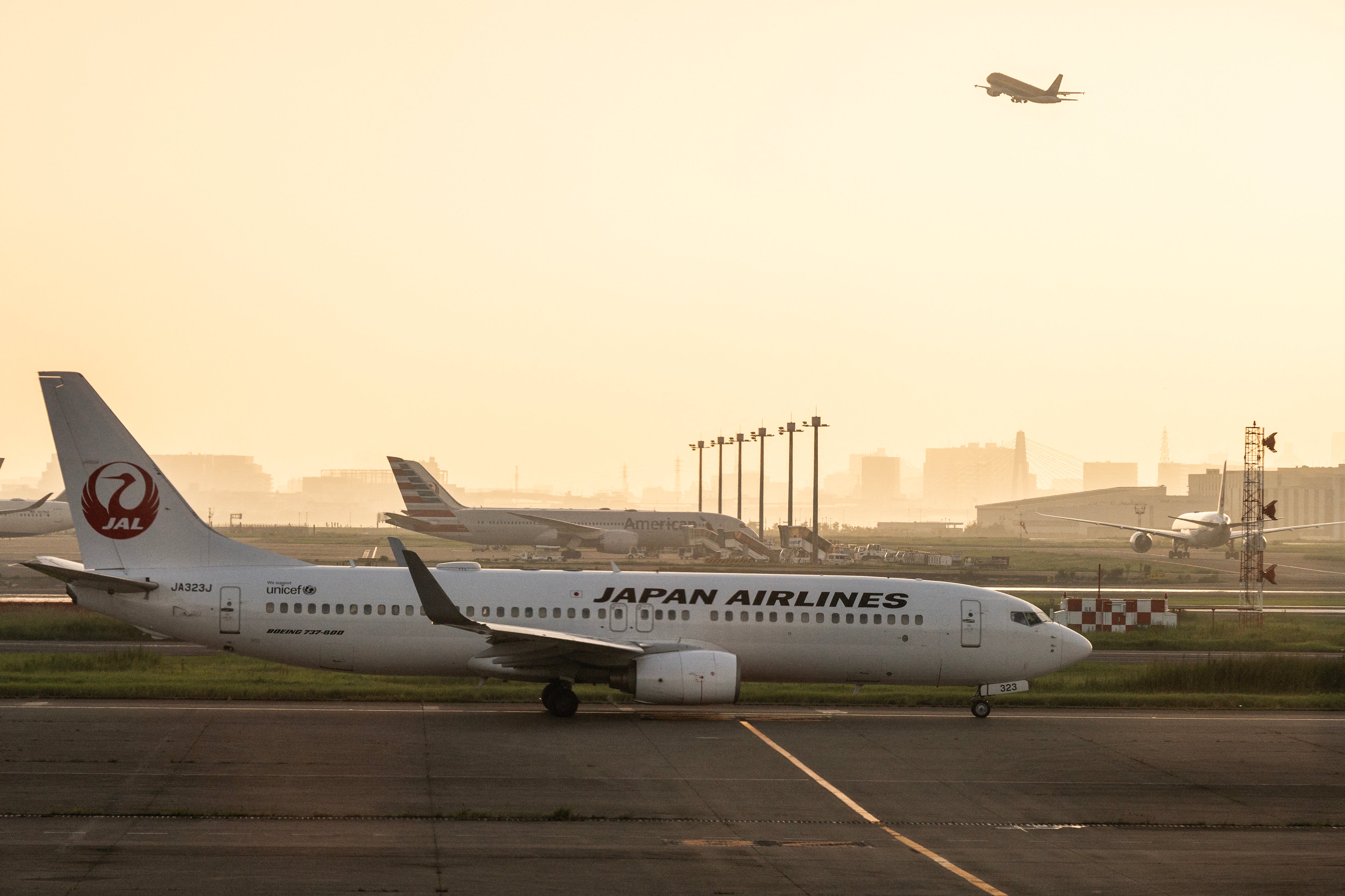 Una aerolínea perteneciente al grupo Japan Airlines canceló un vuelo tras encontrar una serpiente a bordo