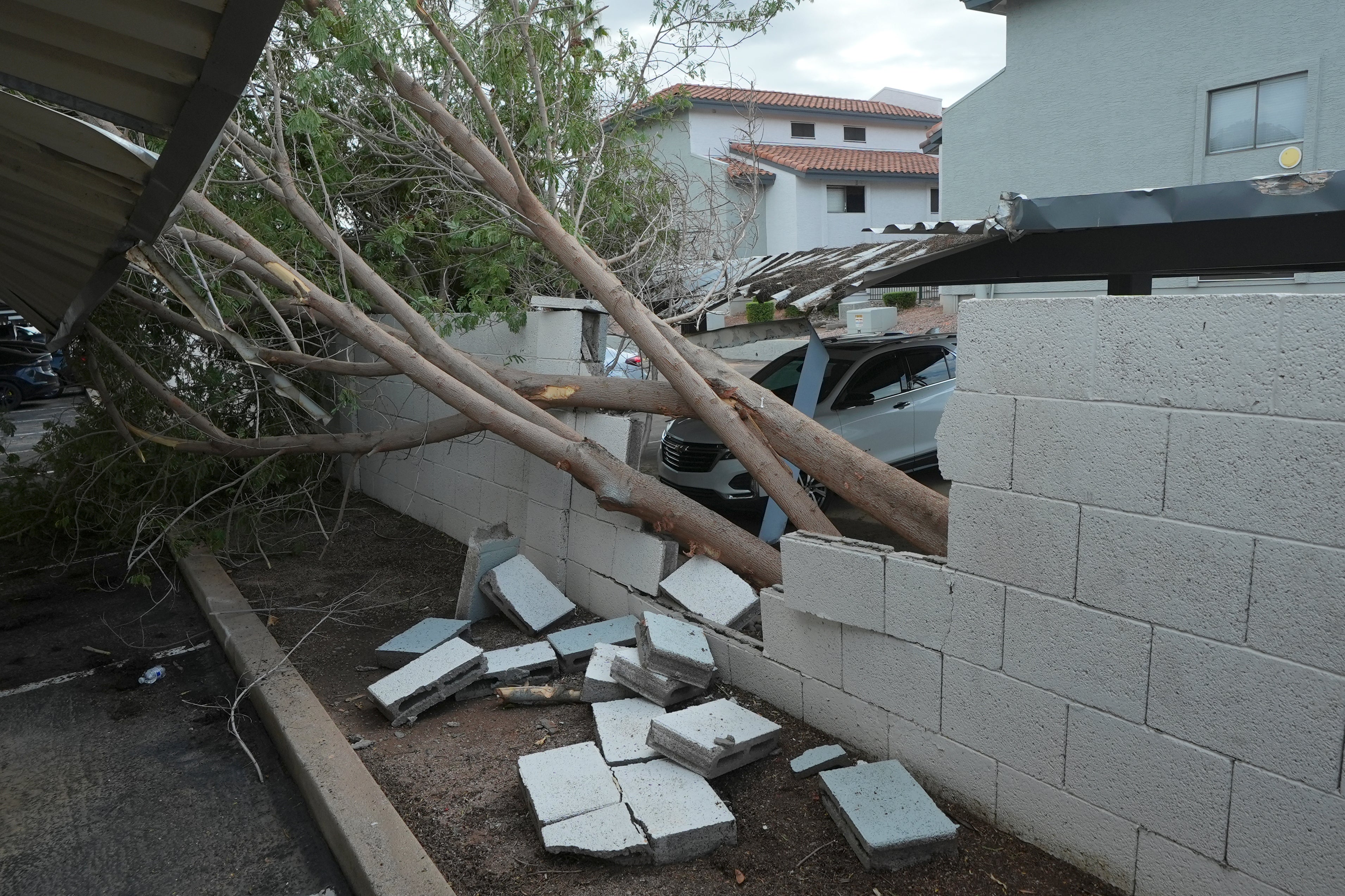 Posible tornado derriba árboles y postes en comunidad de Arizona