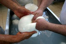 Protesta de camioneros bloquea producción de queso mozzarella de búfala en Italia