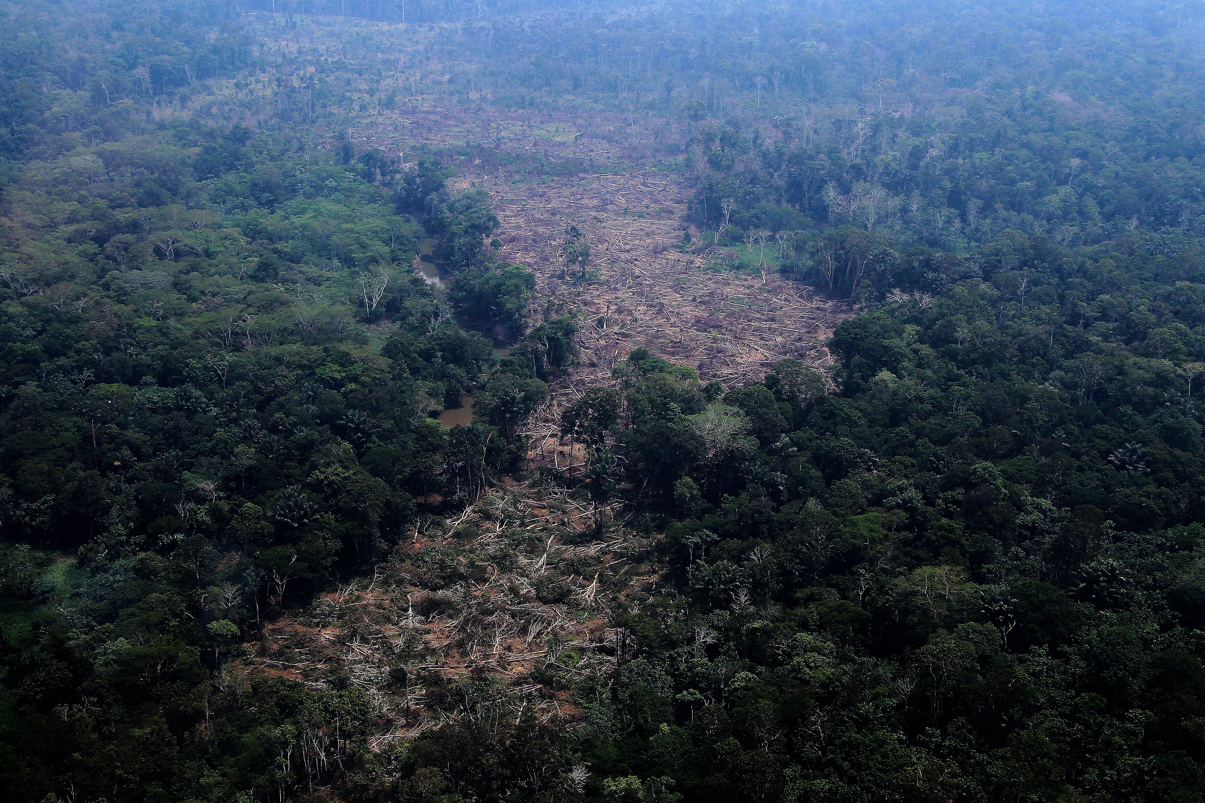 La elección en Brasil podría definir el futuro de la Amazonía, advierten científicos