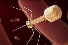Afirman haber inyectado virus diseñado con IA por primera vez en un humano