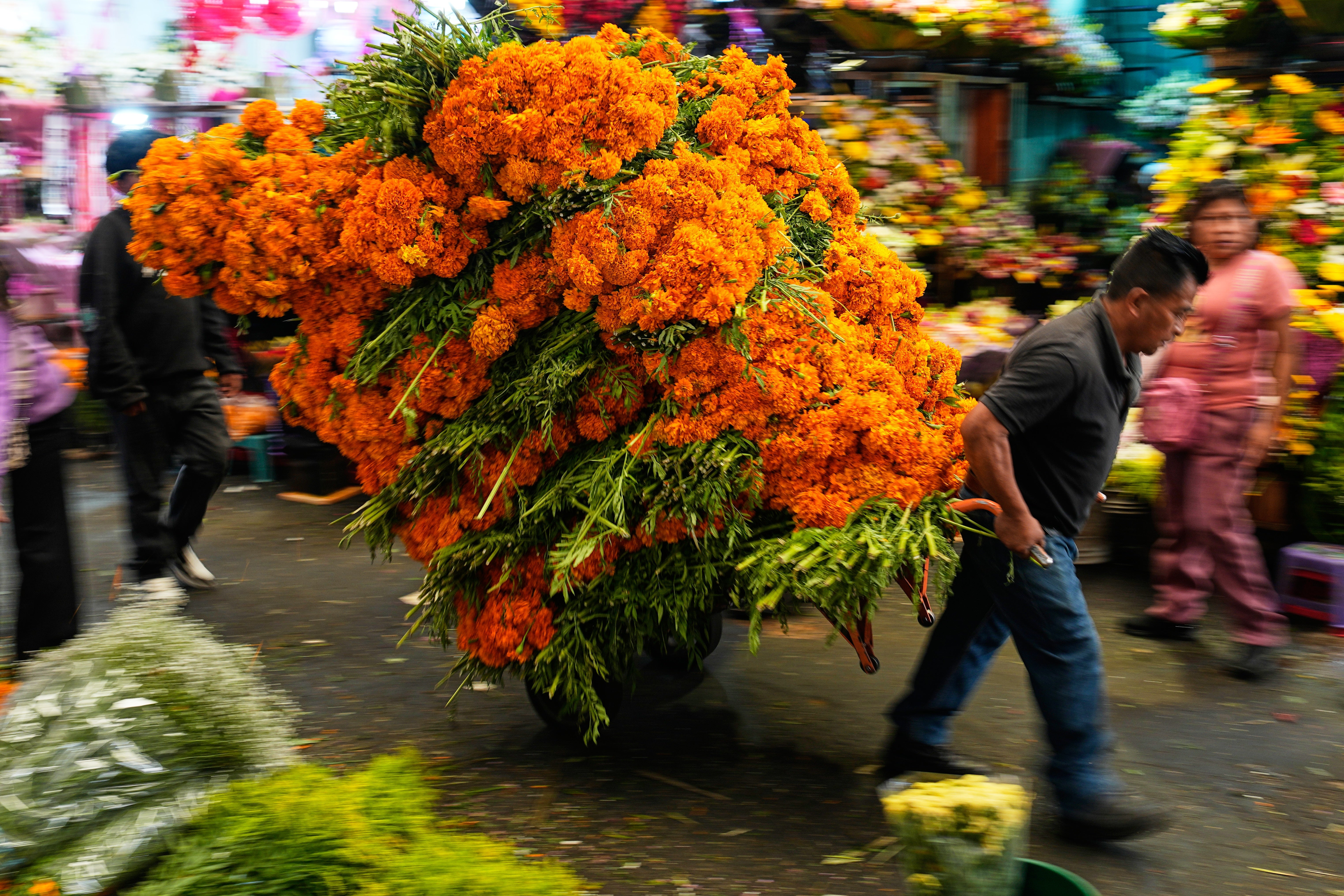 CEMPASÚCHIL-DÍA DE MUERTOS