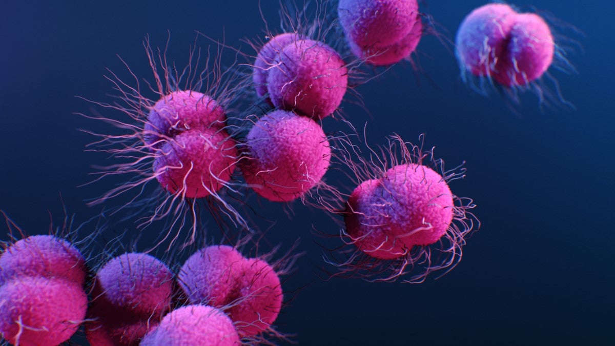 Los casos de gonorrea, una infección bacteriana de transmisión sexual muy común, se contagian durante las relaciones sexuales