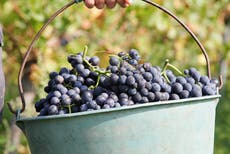 Rituales de fin de año para asegurar abundancia, salud y amor en 2022