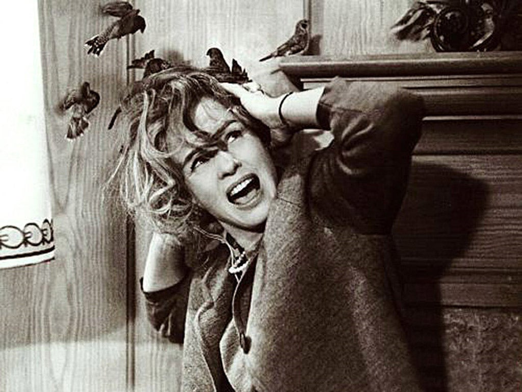 Tippi Hedren en ‘Los pájaros’