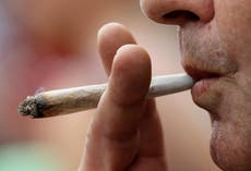 Senadores demócratas prometen legalizar el cannabis este año