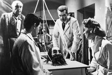 Nostradamus predijo que el rey Carlos tomará una gran decisión