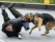 Perro policía ataca salvajemente a una mujer 