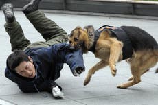 Perro policía ataca salvajemente a una mujer