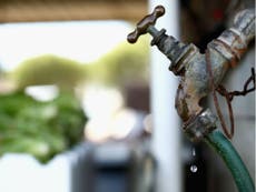 Ameba comecerebros es detectada en el suministro de agua de una ciudad de Texas