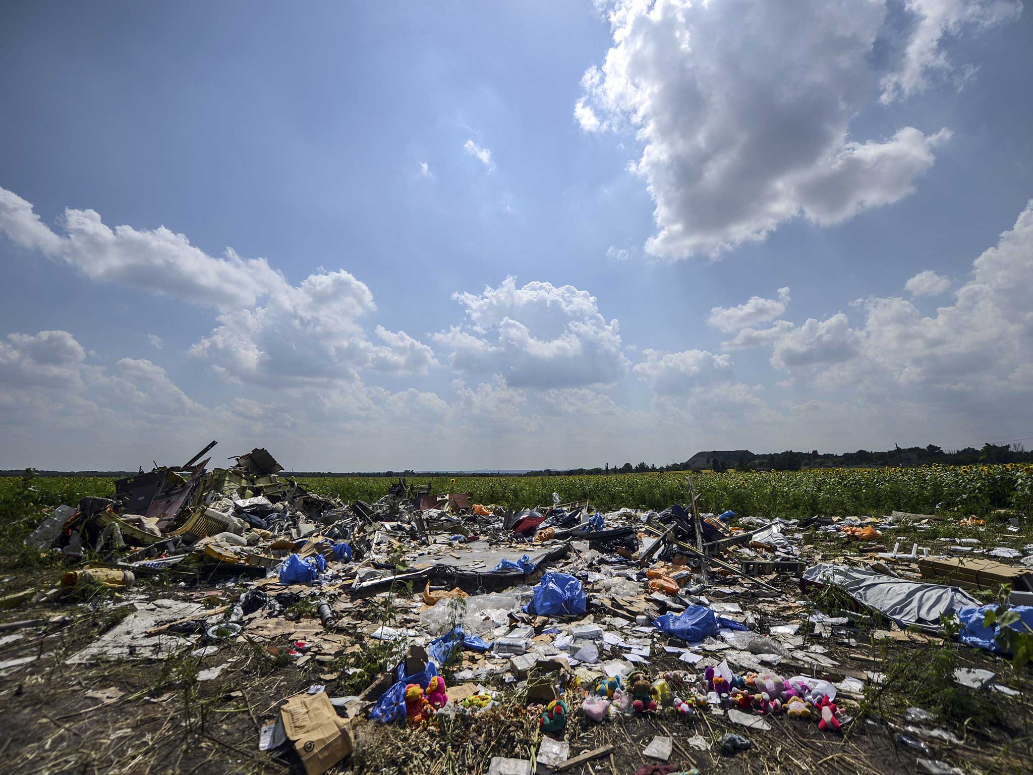 Los restos del MH17 son visibles en un campo de la región de Donetsk el 23 de julio de 2014