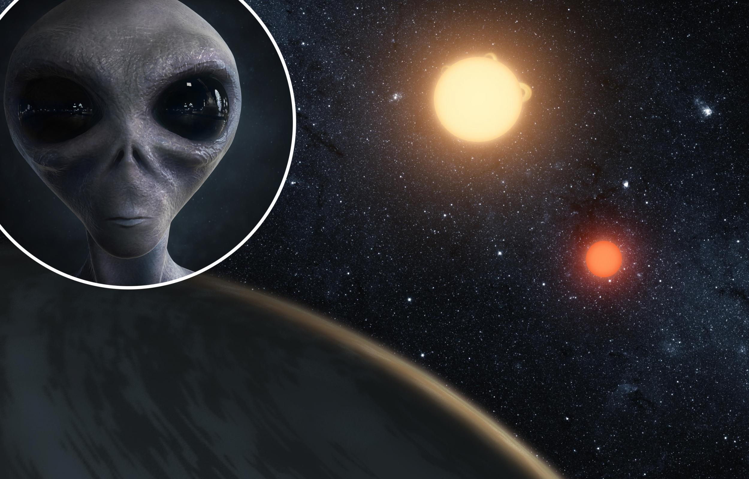 Los científicos han descubierto un nuevo significado de la vida, y es alucinante