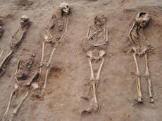 Qué nos dicen los esqueletos medievales sobre la salud y la esperanza de vida