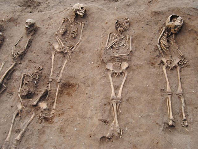 <p>Descubren un enterramiento masivo en el sitio de un hospital monasterio del siglo XIV</p>