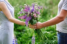 ¿Sabes cuál es la flor favorita de tu pareja?