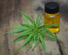 Tratamiento con cannabis genera un “cambio sorprendente” en los jóvenes con ansiedad severa, según un estudio