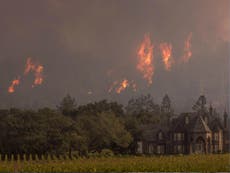 California: Incendio forestal Bobcat es uno de los más grandes de la historia de Los Ángeles 