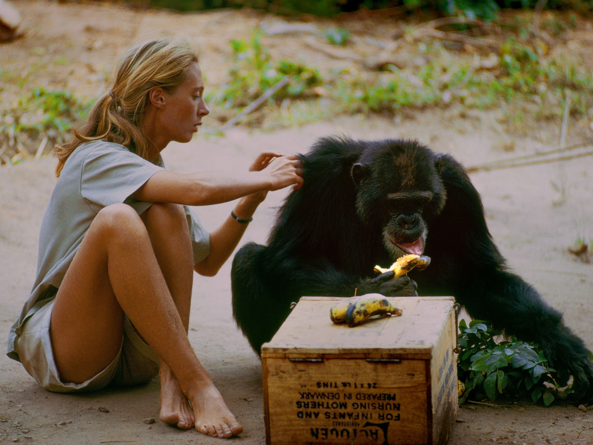 Jane Goodall en una escena del documental ‘Jane’