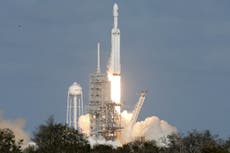 Elon Musk podría verse obligado a derribar una torre de SpaceX Starship debido a una revisión ambiental