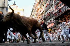 Hombre corneado a muerte por toro en festival en España
