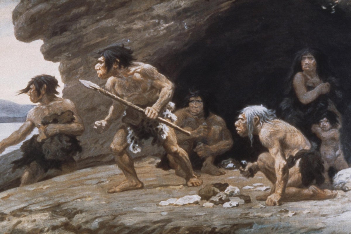 Nuevo estudio arroja luz sobre los misterios del origen del lenguaje |  Independent Español