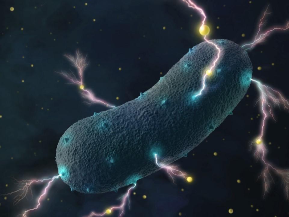 Los resultados sugieren que existen determinados componentes en el microbioma intestinal que podrían utilizarse para diagnosticar el autismo en el futuro