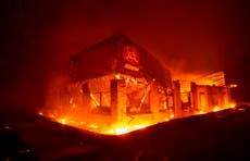 Californianos aún no reciben ayuda por incendios forestales