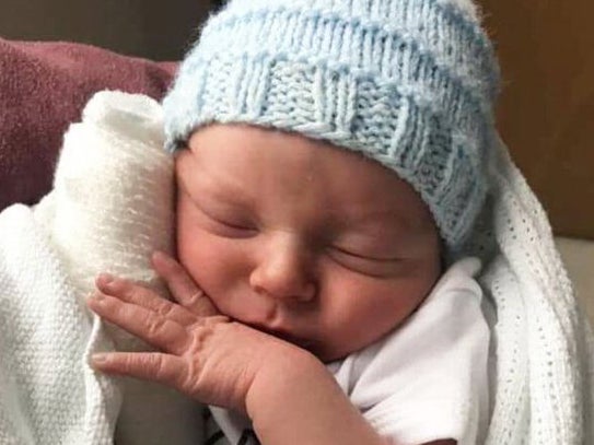 Perro mató salvajemente a bebé después de que su madre se quedara dormida en sofá, según investigación