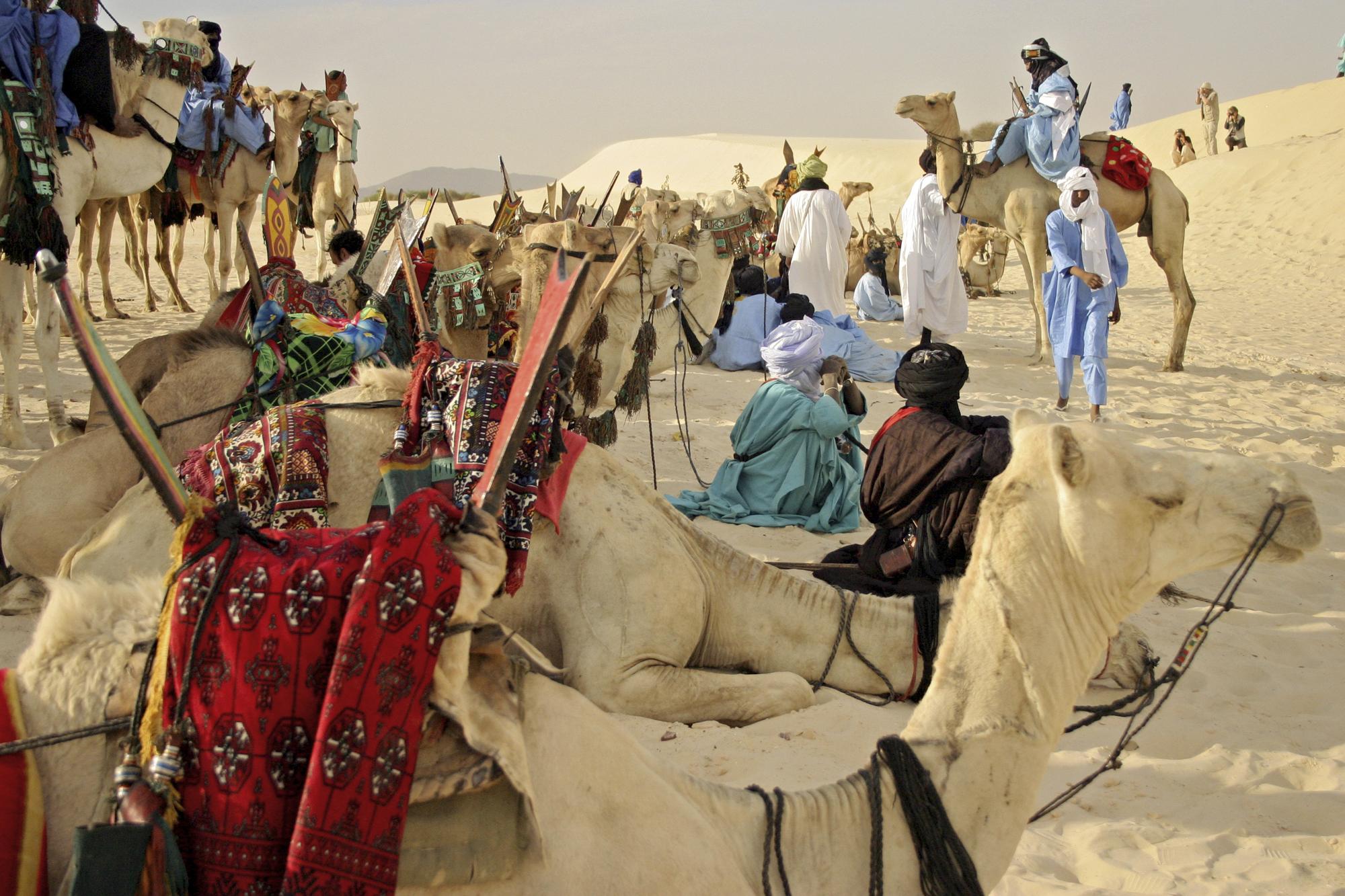 Camels near Timbuktu, Mali