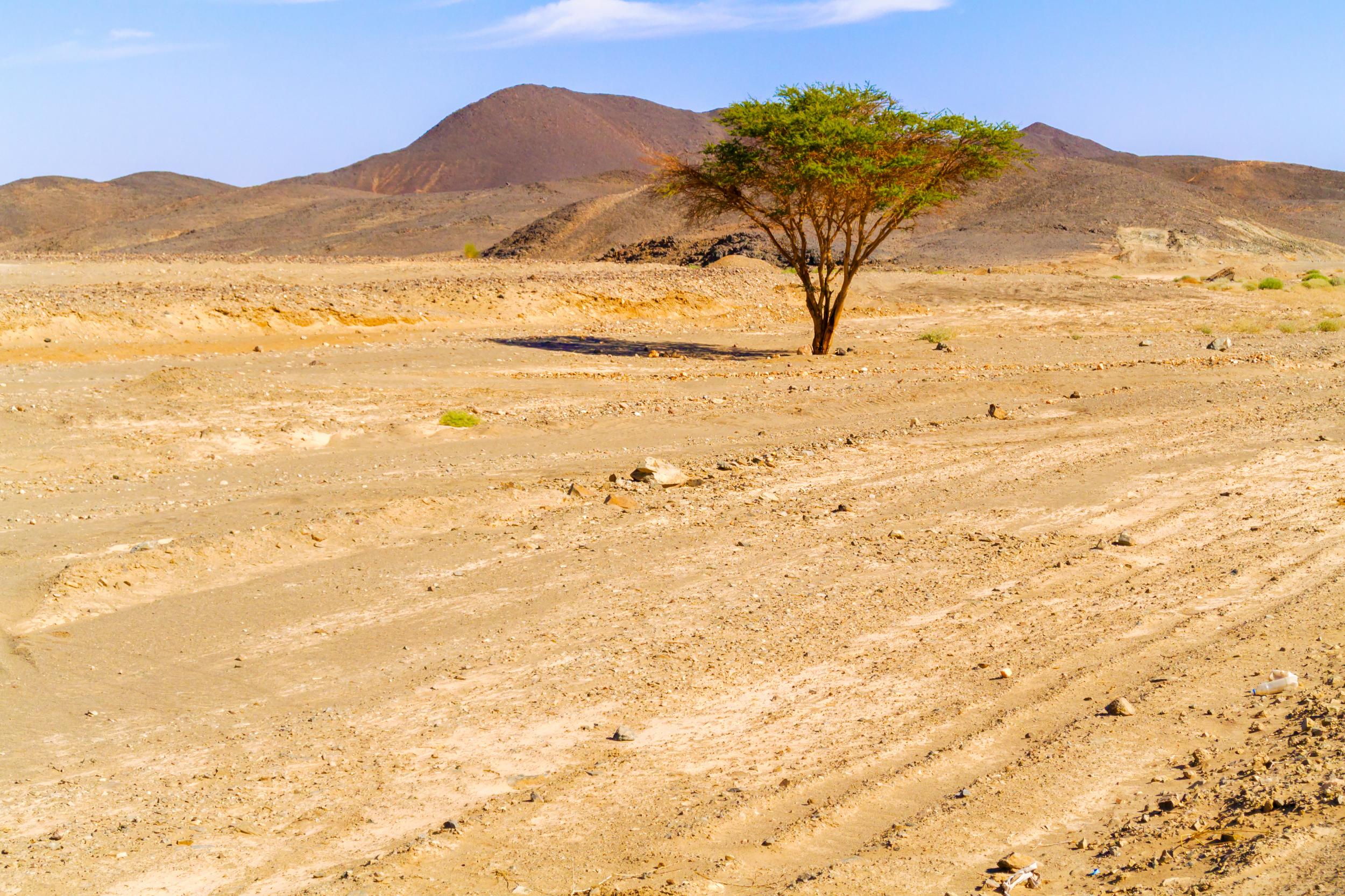 Eastern desert landscape near Wadi Halfa, Sudan