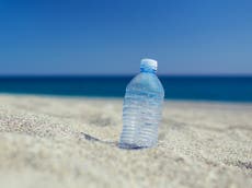 Cómo los estadounidenses practican la sostenibilidad en el verano