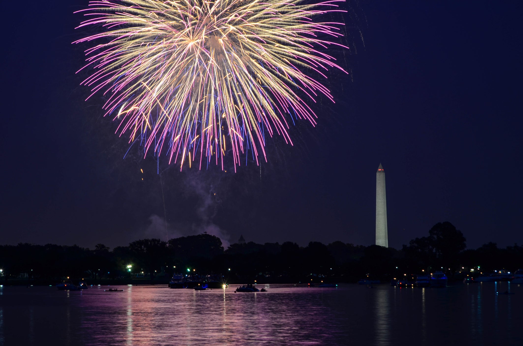 Fireworks on the National Park tidal basin in Washington DC