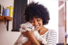 6 de cada 10 prefieren acurrucarse con su mascota que con su pareja