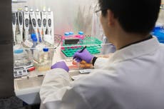 Vacuna contra el VPH reduce las tasas de cáncer de cuello uterino en casi un 90%, según estudio