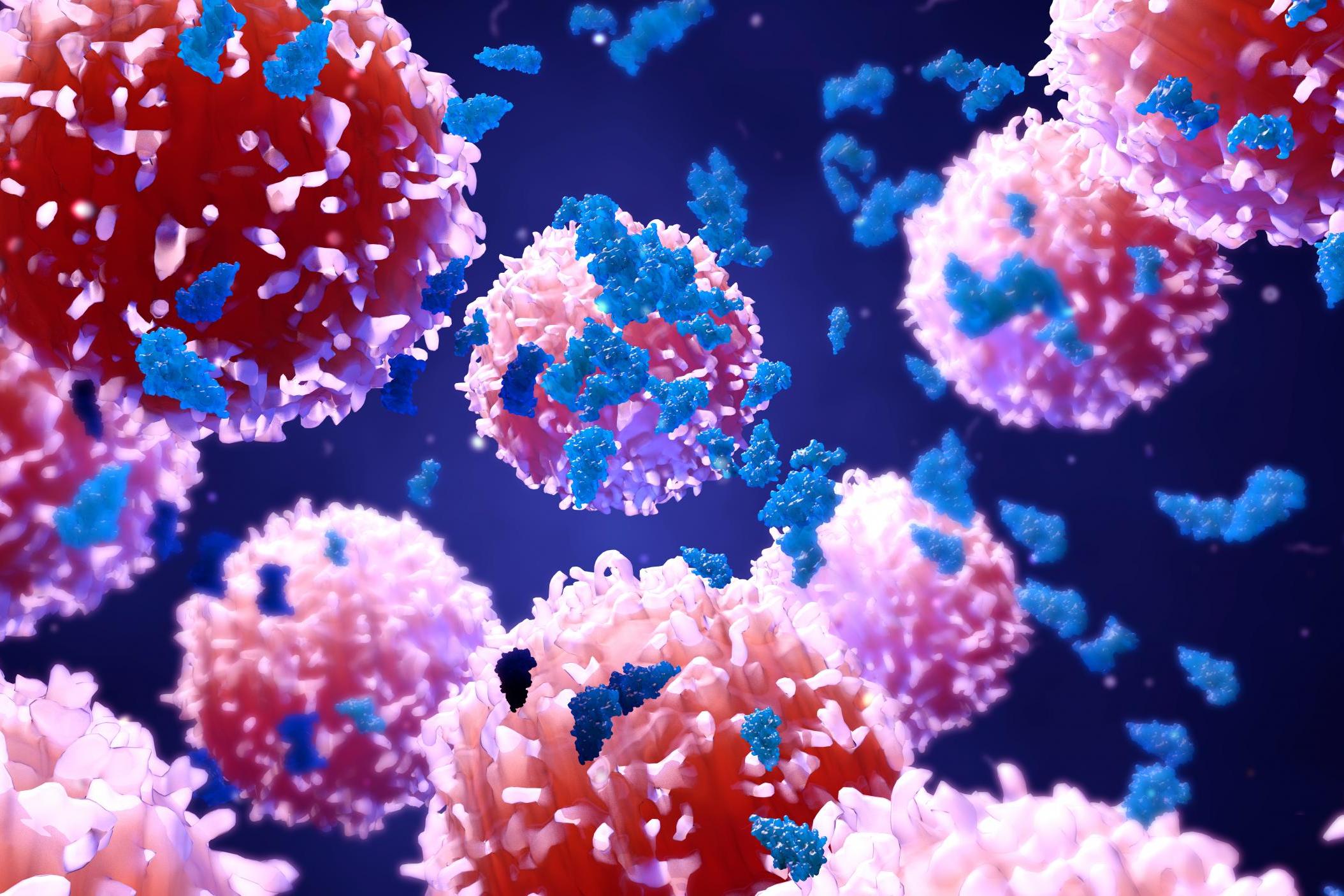 ¿Cuáles son los 6 tipos de cáncer más comunes en mujeres y cómo identificar sus síntomas?