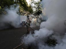 El coronavirus  aumenta los riesgos de infecciones por dengue en Latinoamérica y el sur de Asia