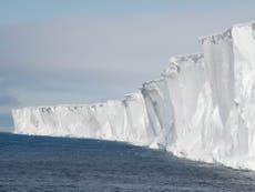 Crisis climática: El calentamiento global podría destruir rápidamente las plataformas de hielo de la Antártida y atraer importantes consecuencias, según un estudio
