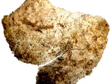 Antiguo graffiti cristiano encontrado en cáliz 'único en su clase' del siglo V